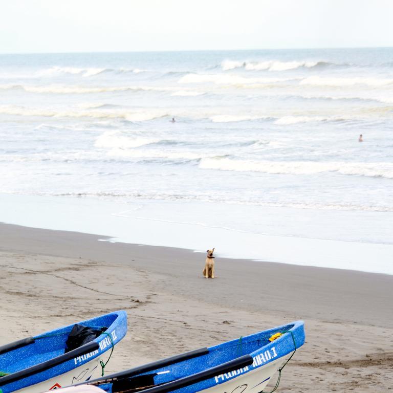 Azul Surf Club Hotel El Cuco Kültér fotó